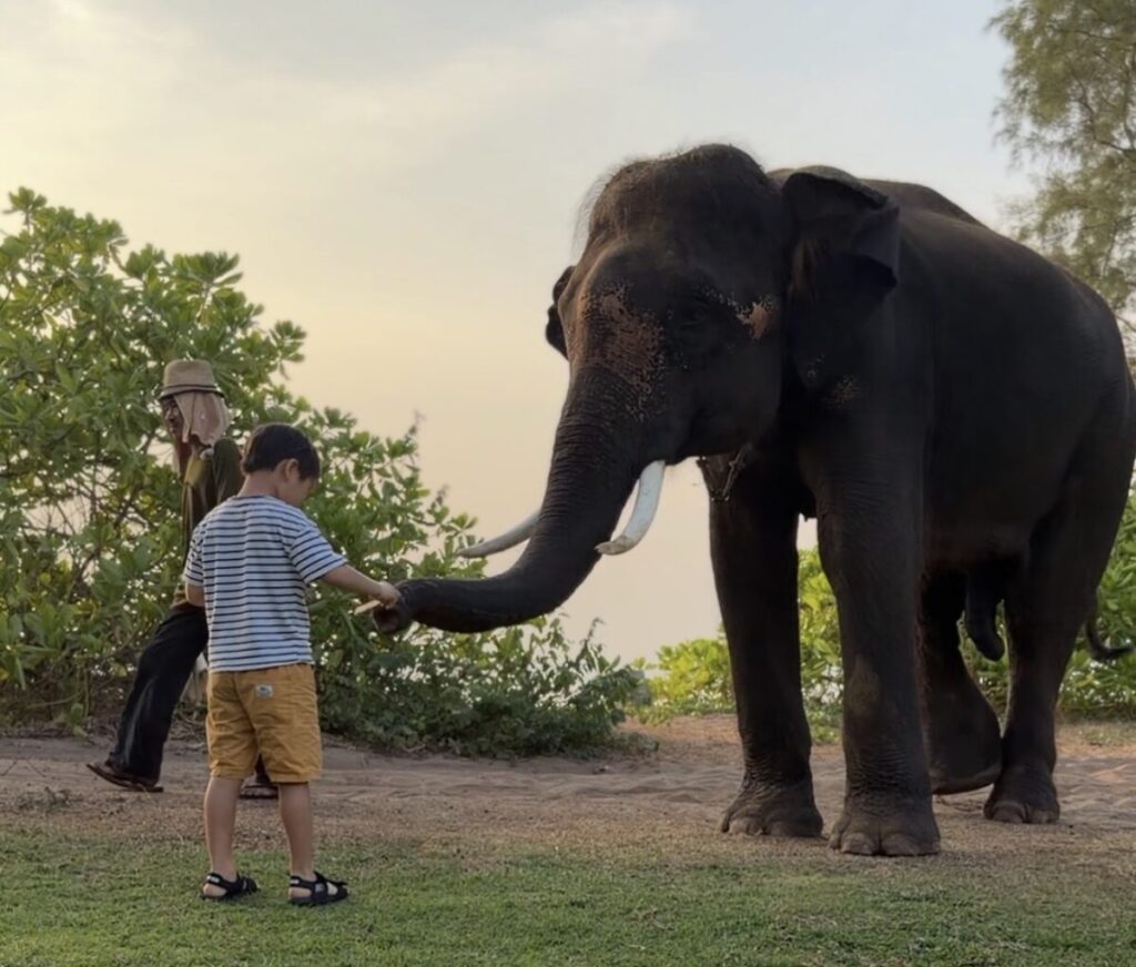 AGPカード　口コミ